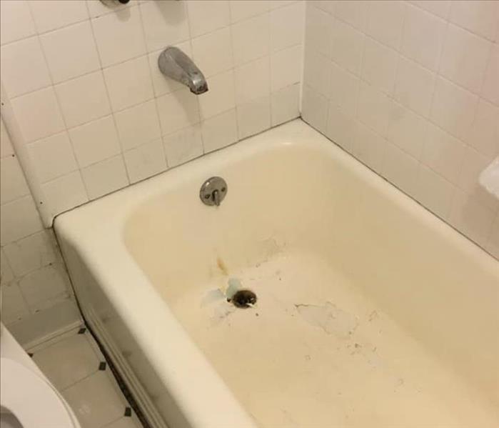 mold around bathtub, on the grout